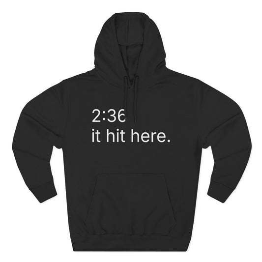 236 - it hit here. hoodie